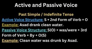 Active and Passive Voice