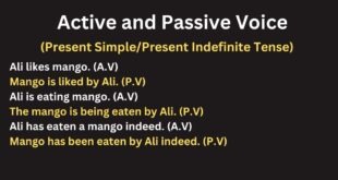 Active and Passive Voice