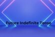 Future Indefinite Tense