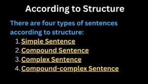 Kinds of sentences worksheet