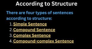 Kinds of sentences worksheet