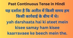 Past Continuous Tense in Hindi