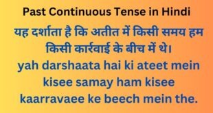 Past Continuous Tense in Hindi