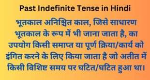 Past Indefinite Tense in Hindi