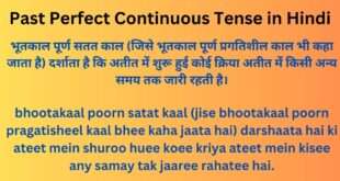 Past Perfect Continuous Tense in Hindi