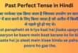 Past Perfect Tense in Hindi