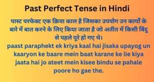 Past Perfect Tense in Hindi