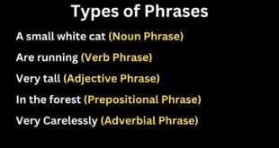 Phrases with Sentences and Types of phrases