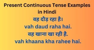 Present Continuous Tense in Hindi