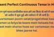 Present Perfect Continuous Tense in Hindi