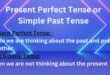 Present perfect tense or simple past tense