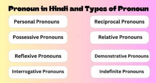 Pronoun in Hindi and Types of pronoun