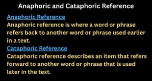 Anaphoric and cataphoric reference