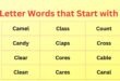 5 Letter Words that Start with C