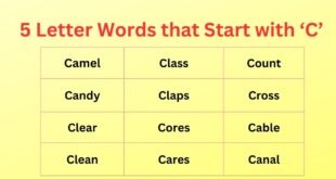 5 Letter Words that Start with C