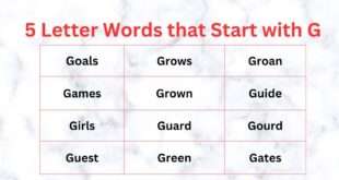 5 Letter Words that Start with G