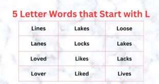 5 Letter Words that Start with L