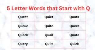 5 Letter Words that start with Q