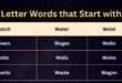 5 Letter Words that start with W