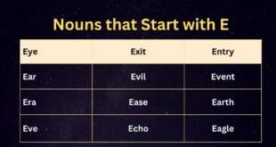 Nouns that Start with E