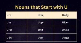 Nouns that start with U