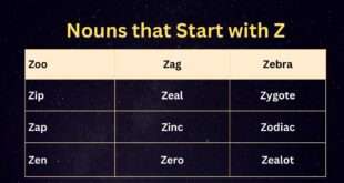 Nouns that start with Z