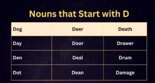 Nouns that Start with d