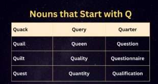 Nouns that start with q