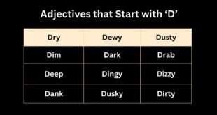 Adjectives that Start with D