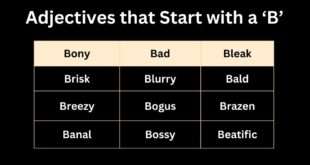 Adjectives that start with a B