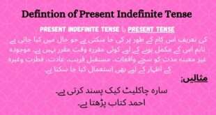 Definition of Present Indefinite Tense