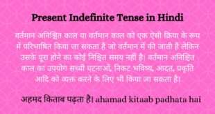 Present Indefinite Tense in Hindi