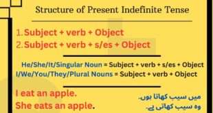 Structure of present indefinite tense