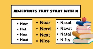 Adjectives that start with N