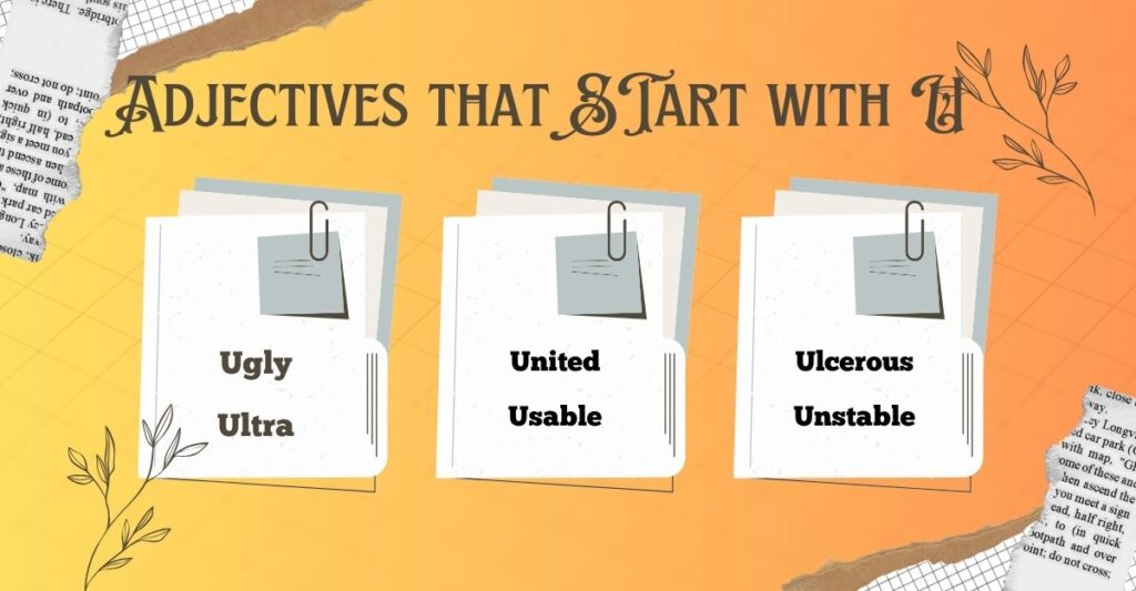 Adjectives Beginning with U