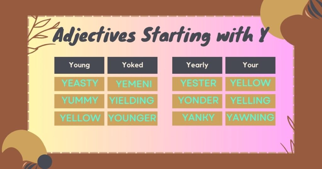 Adjectives starting with y