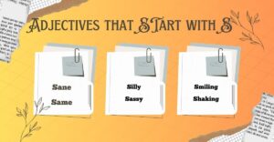 Adjectives that STart with S