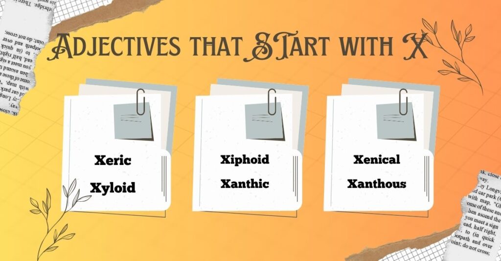 Adjectives that Start with X