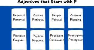 Adjectives that Start with P