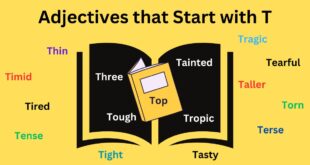 Adjectives that Start with T