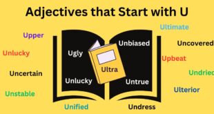 Adjectives that Start with U