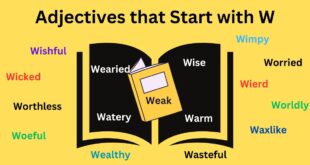 Adjectives that Start with W