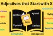 Adjectives that Start with X
