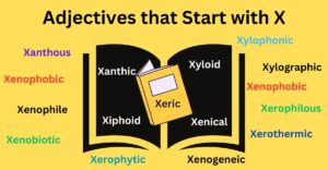 Adjectives that Start with X