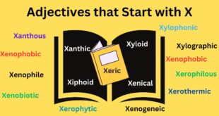 Adjectives that Start with X