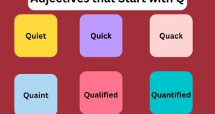 Adjectives that Start with q