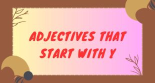 Adjectives that start with y