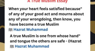 A True Muslim Essay