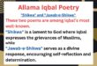 Allama Iqbal Essay