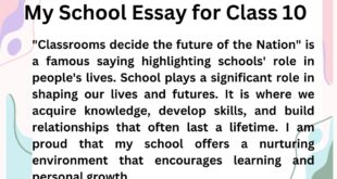 My School essay for class 10